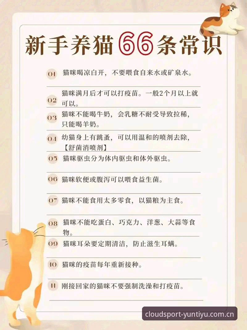 云体育平台新手必看：5个使用教程常见问题及详细解决方案